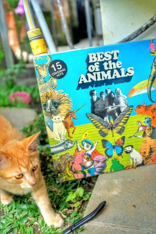 The Animals - Best Of The Animals