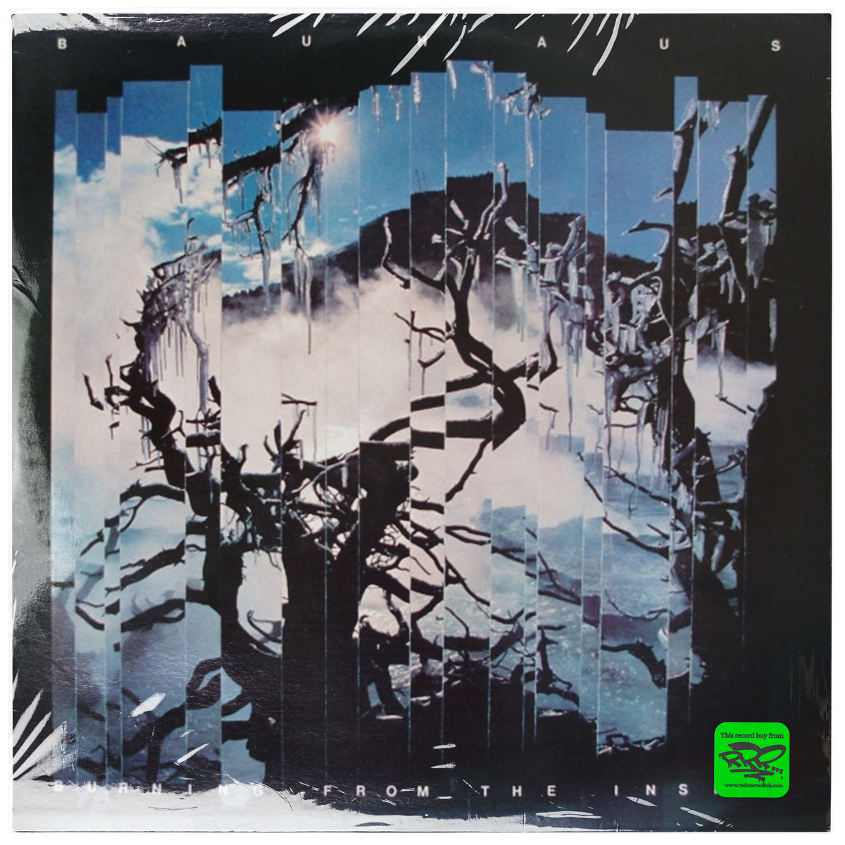 Bauhaus - Burning From The Inside