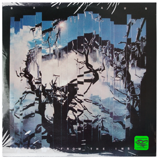 Bauhaus - Burning From The Inside