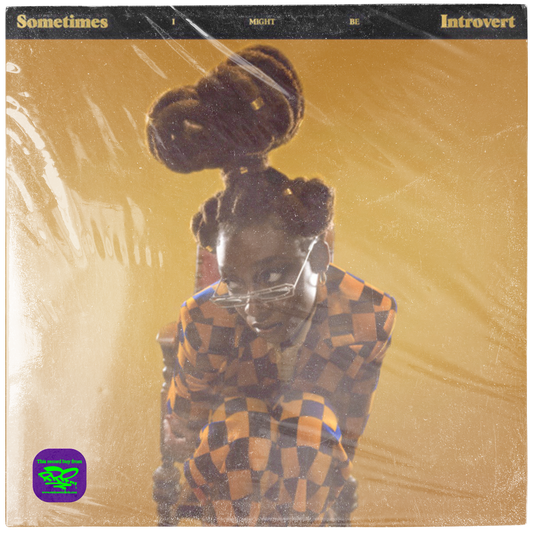 Little Simz - Sometimes I Might Be Introvert