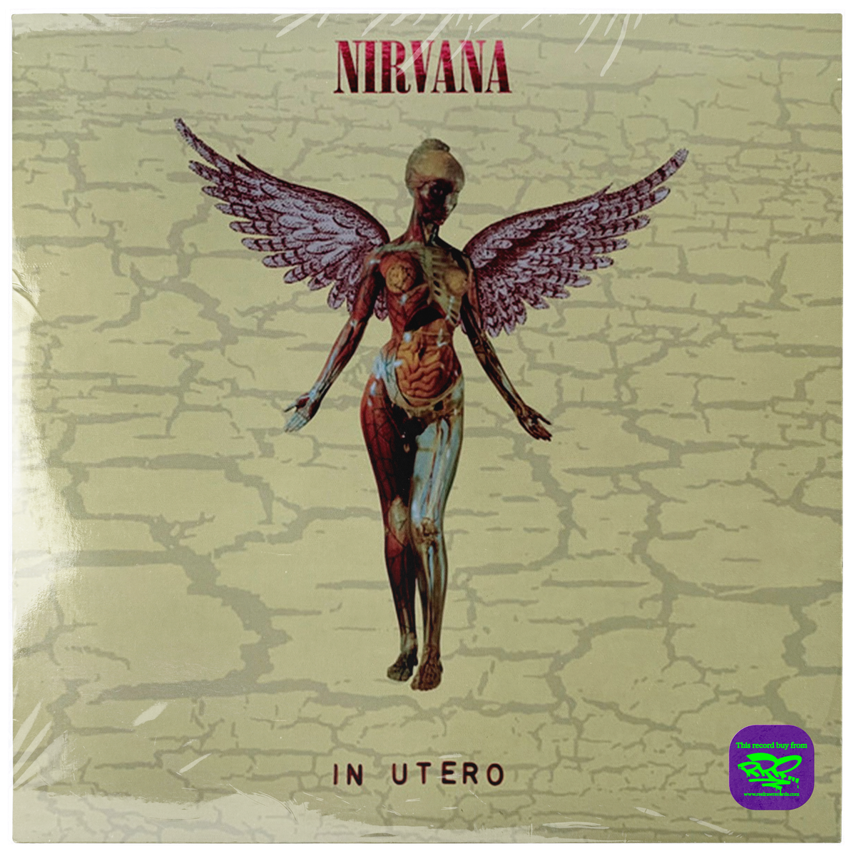 Nirvana - In Utero (30th Anniversary Limited Edition)