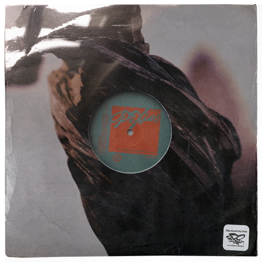 Pixies – The Night the Zombies Came